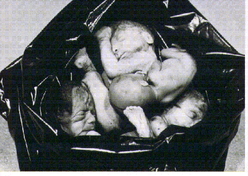 Aborted babies in a trash can.